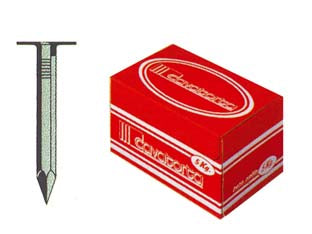 Chiodi testa piana larghissima - ø mm.17x30 - in ferro lucido