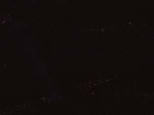 Plastica adesiva nero opaco (280-0111) - cm.45h. in rotoli da mt.15 - incolla facilmente