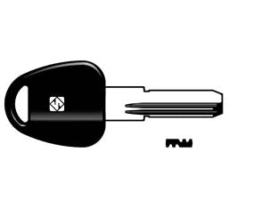 Chiavi punzonate per cilindri potent 5+4 spine pt5rp - PT5RP - in ottone nichelato profilo dorsato, testa in plastica, per cilindri di sicurezza