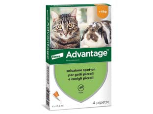 Antiparassitario advantage per gatti e conigli fino a kg.4 - in conf. da 4 pipette SPOT-ON - per gatti e conigli fino a Kg.4, antiparassitario per uso esterno, previene e tratta infestazioni da pulci, un trattamento pr...
