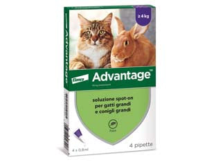 Antiparassitario advantage per gatti e conigli oltre kg.4 - in conf. da 4 pipette SPOT-ON - per gatti e conigli oltre Kg.4, antiparassitario per uso esterno, previene e tratta infestazioni da pulci, un trattamento pre...