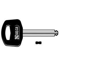 Chiavi per cilindri abus ab60p - AB60P - in ottone nichelato, profilo dorsato, testa plastica, utilizzo principale: per lucchetti