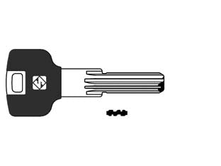 Chiavi punzonate per cilindri potent pt7rap - PT7RAP - in ottone nichelato profilo dorsato, testa in plastica, per cilindri di sicurezza