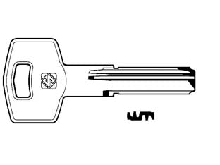 Chiavi punzonate per cilindri tesa 11 te19 - TE19 - in ottone nichelato, profilo dorsato, per cilindri di sicurezza