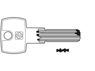 Chiavi punzonate per cilindri potent 6 spine pt9 - PT9 - in ottone nichelato profilo dorsato, testa in plastica, per cilindri di sicurezza