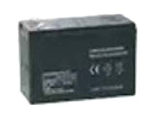 Batteria per pompa a zaino a litio - batteria di ricambio per ns codice 432900 (CDF10982)