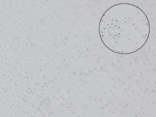 Tovagliato pvc glitterato argento - cm.140h, rotolo da mt.30 - in pvc semitrasparente