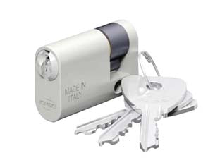 Mezzo cilindro ovale in alluminio 141 -mm.43 decentrato (33x10) (141.33.10) - corpo in alluminio ad alta resistenza, barilotto in ottone nichelato con guida, perni e controperni in acciaio inox, molle in...