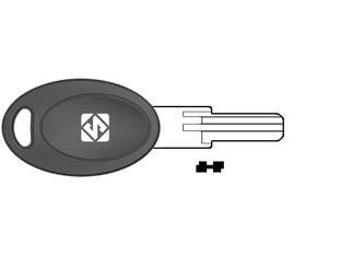 Chiavi punzonate per cilindri euro locks 5 spine eu21p - EU21P - in ottone nichelato, profilo dorsato, testa plastica, per cilindri di sicurezza
